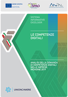 volume competenze digitali