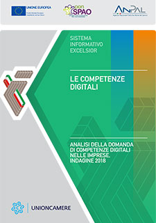 le competenze digitali